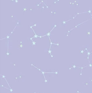 Meet your Posher, Allie